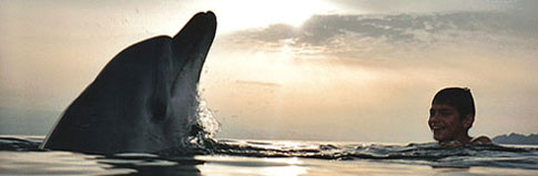 Dolphin and the boy